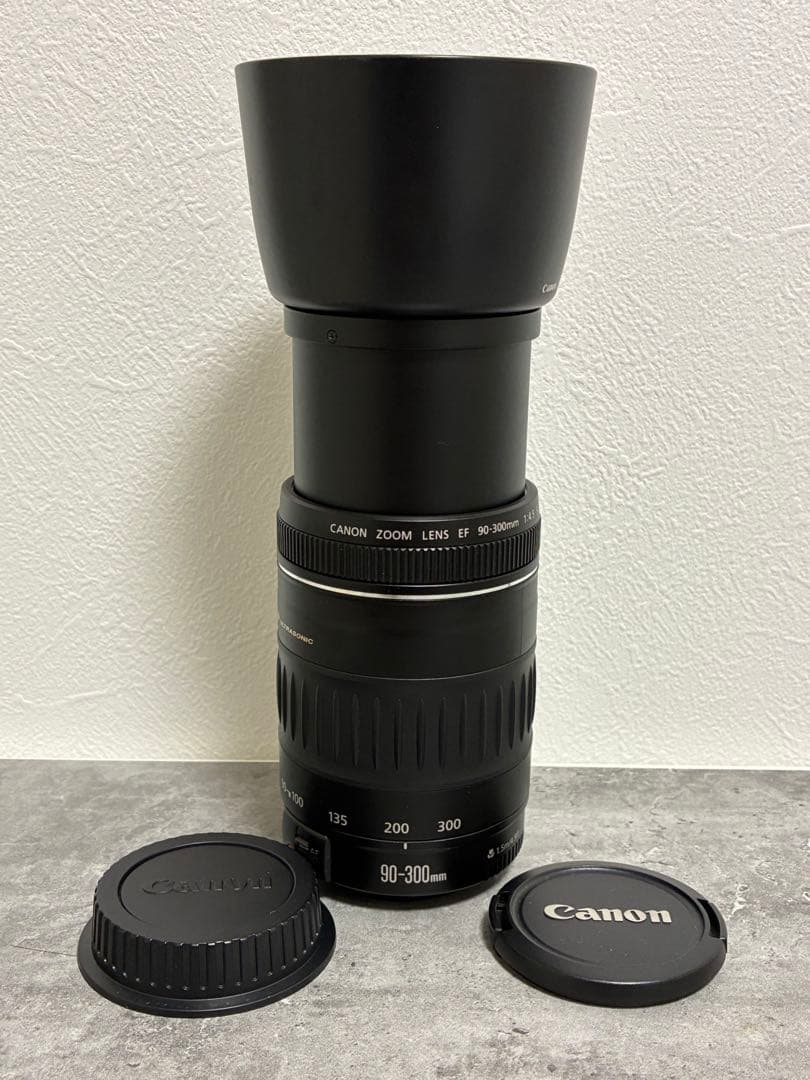 ⭐️美品⭐️Canon EF 90-300mm F/4.5-5.6 USM フード付