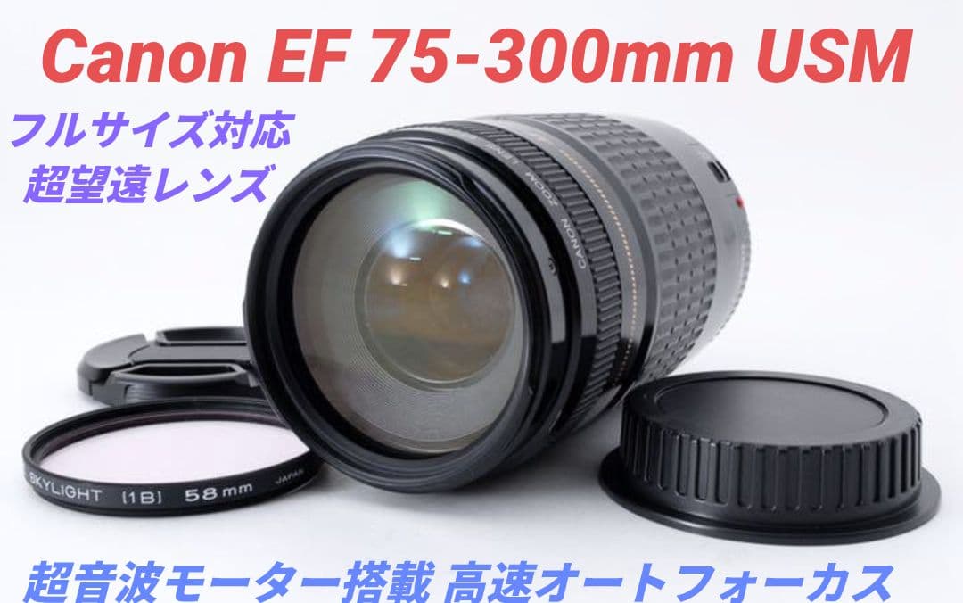 1月27日限定②OP付【超望遠レンズ】Canon EF 75-300mm USM EF75-300mm F4-5.6 IS USM - キヤノンカメラミュージアム