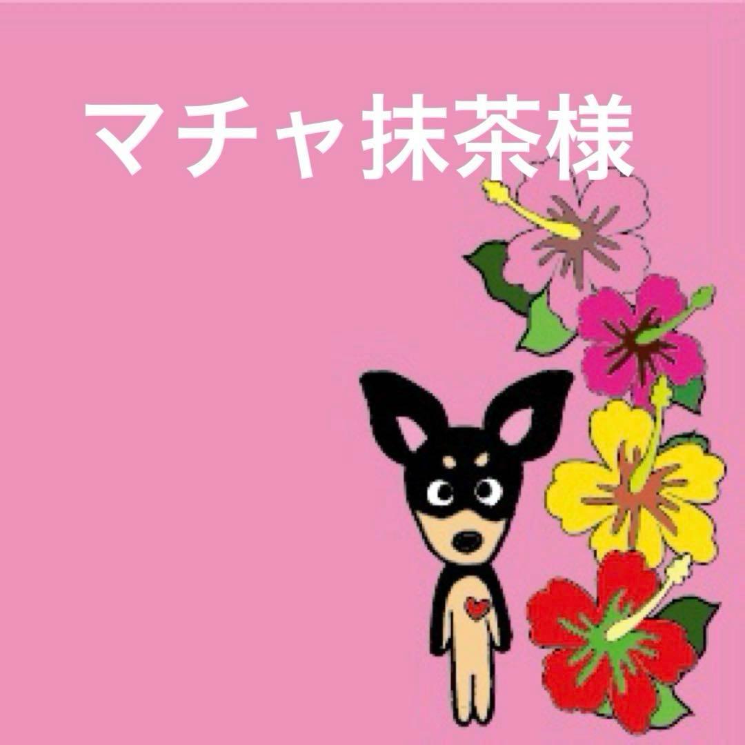 マチャ抹茶様　ボディバック　通院手帳サコッシュ　チワワ　トイプードル Enjeau（アーンジョー） 日本製 犬柄 おさんぽポシェット サコッシュ