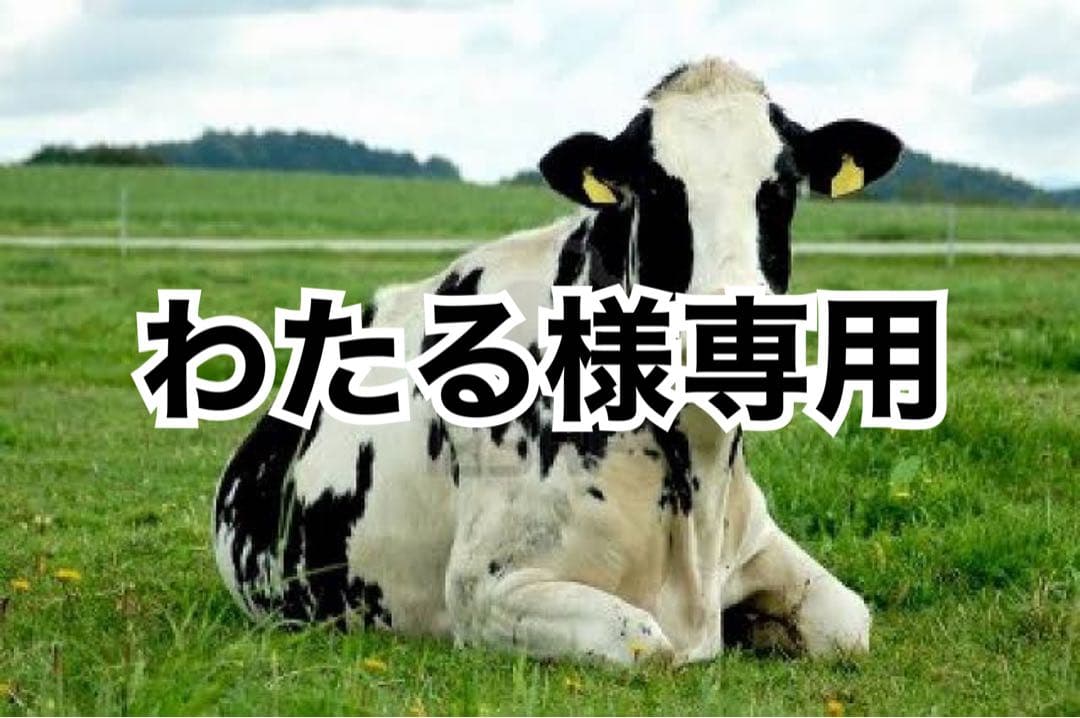 黒10、タン濃10、黒ヘリ10m、チョコへり10m 80％ エクストラダーク チョコレート アロマティック バー 116685