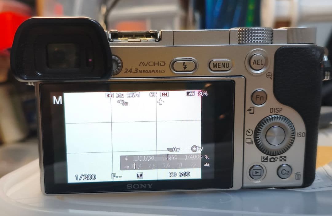 SONY α6000 シルバー 美品 シャッター数極小