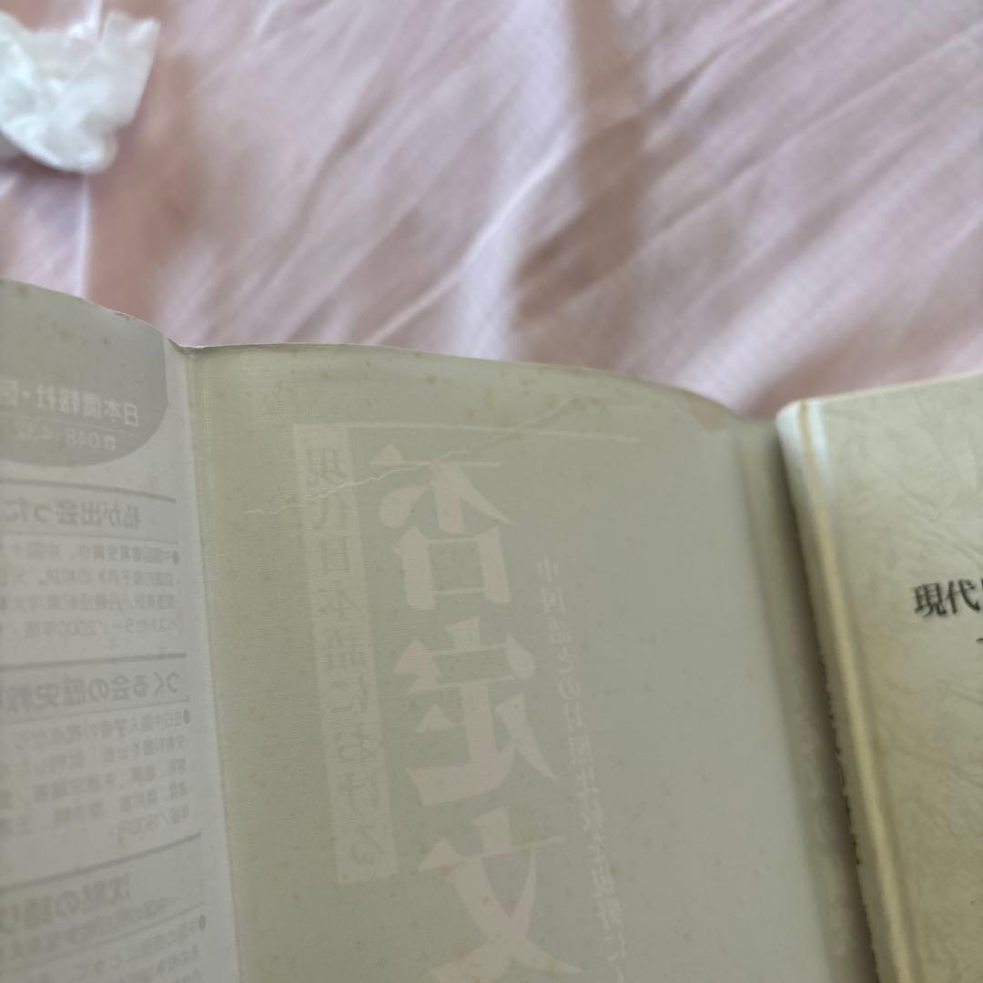 現代日本語における否定文の研究―中国語との対照比較を視野に入れて(帯