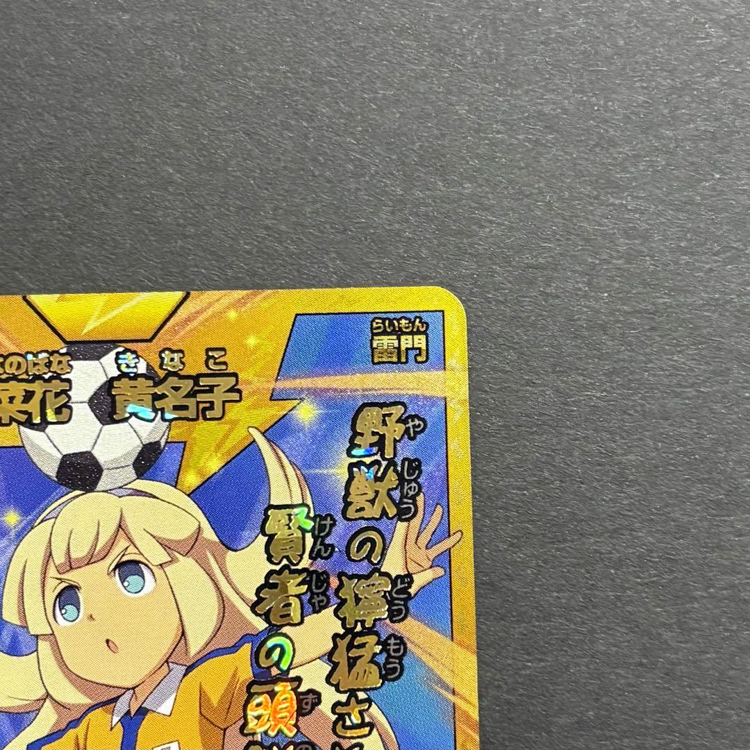 イナズマイレブンGO カード 菜花黄名子 5点セット - メルカリ