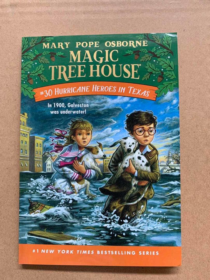 マジックツリーハウス 英語絵本 マイヤペン対応 magic tree house