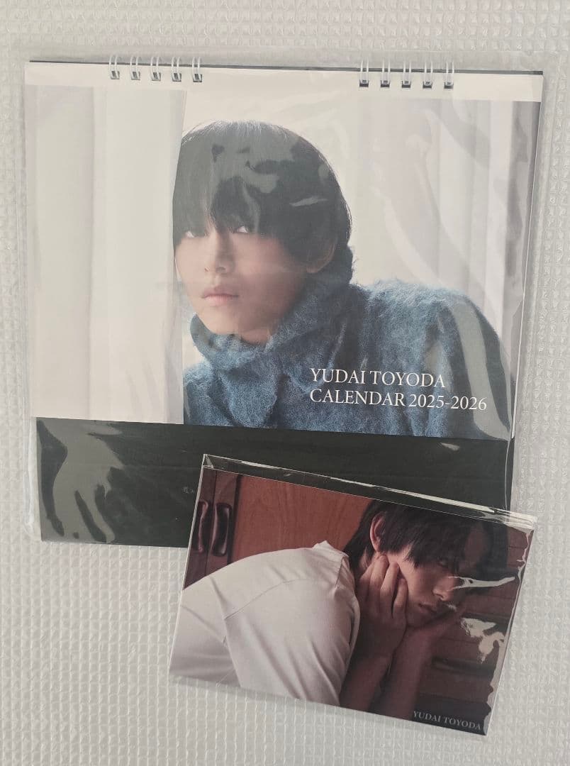 特典ポスカ付き】豊田裕大 カレンダー 2025-2026 - メルカリ