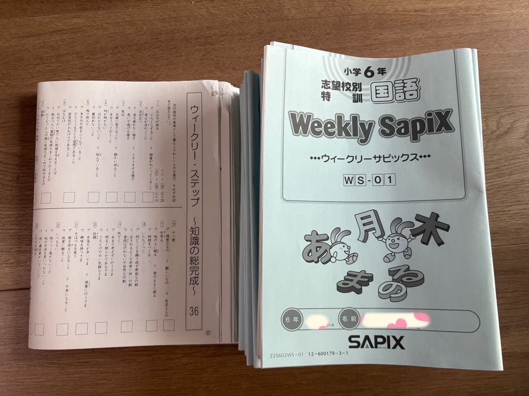 SAPIX 小6 土曜特訓Weekly Sapix国語 知識の総完成①〜㊱まとめ - メルカリ