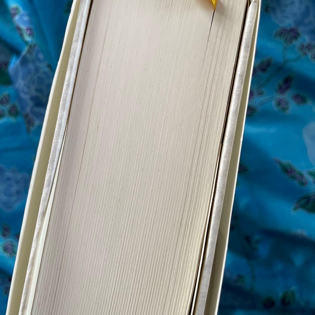 水野千依/イメージの地層-ルネサンスの図像文化における奇跡・分身