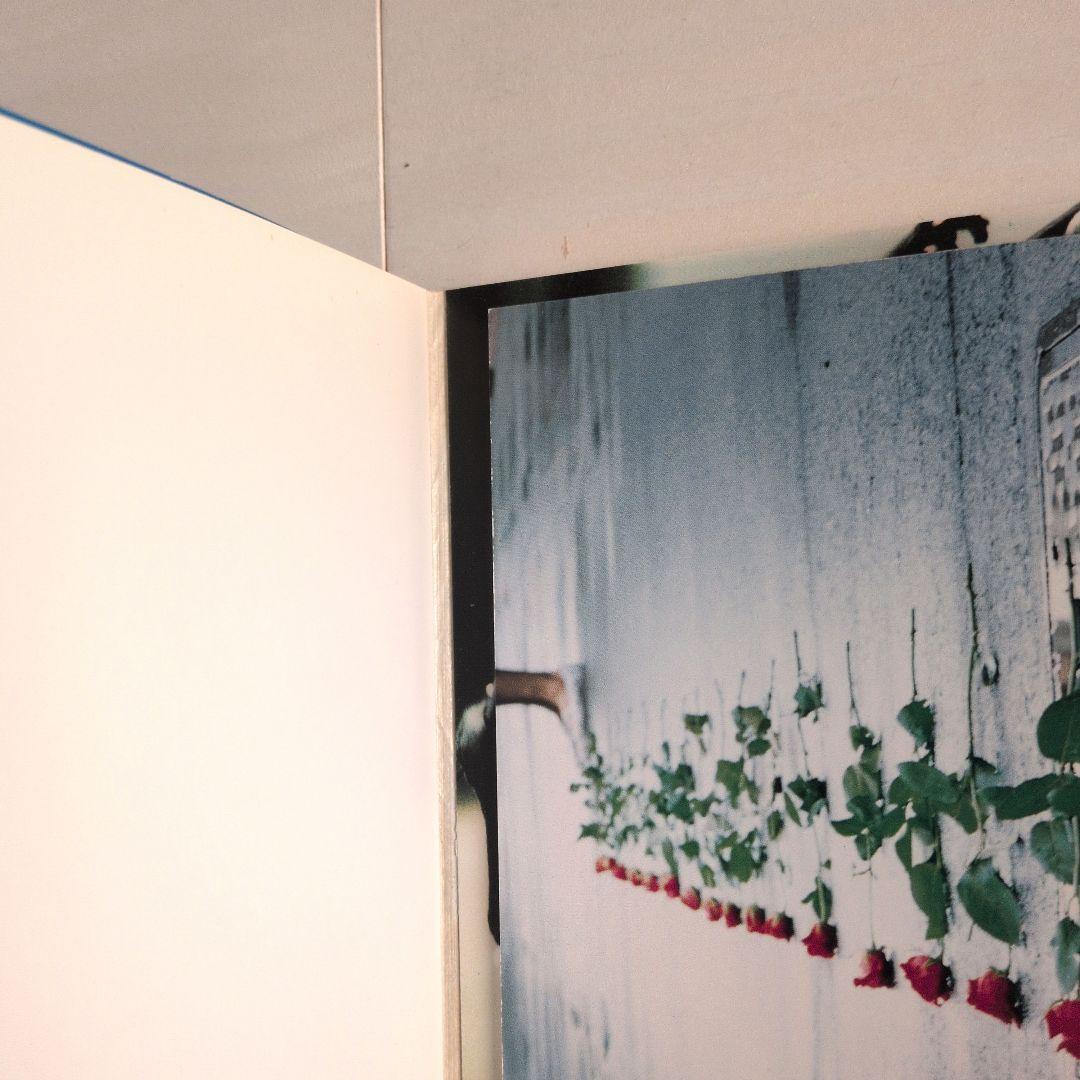 PICNIC 映画 ピクニック ポストカード パンフレット 岩井俊二 浅野忠信