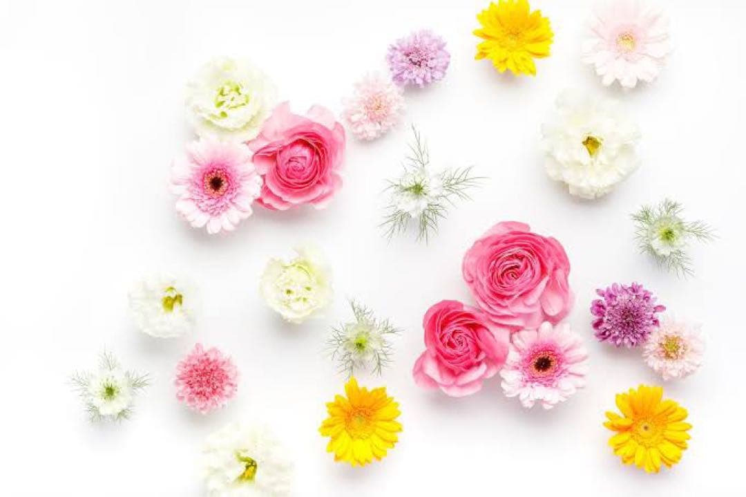 みどり様 Kawasaki Ninja Life 194】 「みどりの調和」 Photo by @ninja_xbee