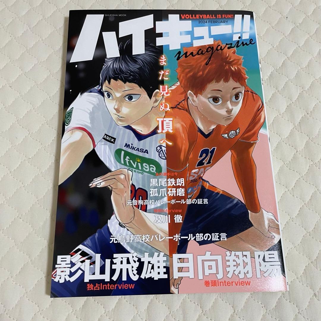 ハイキュー ファンブック まとめ売り - メルカリ