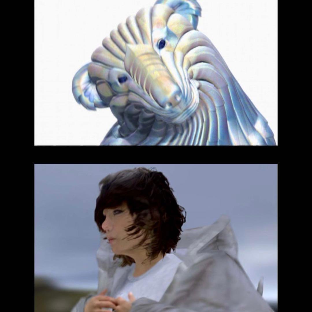 ビョーク / ホモジェニック デュアルディスク盤 CD DVD - メルカリ