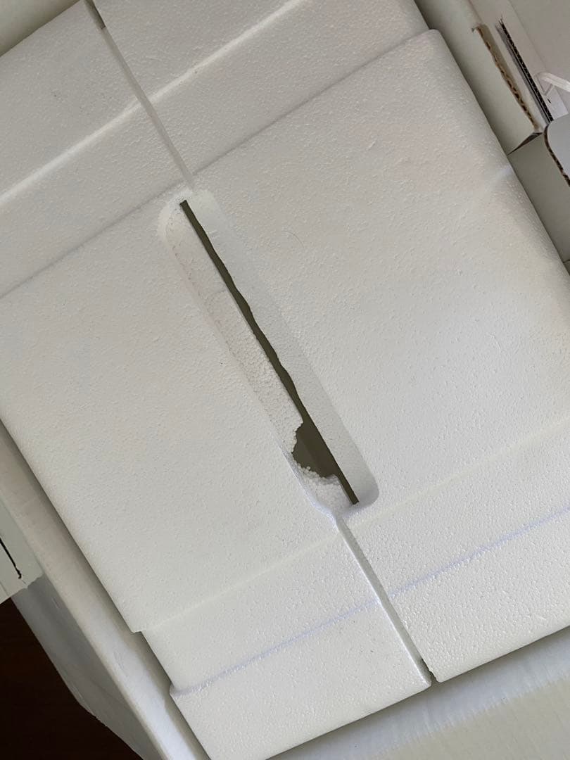 値下げ‼️バイオプトロンPro1 箱あり スウォッツセット - メルカリ