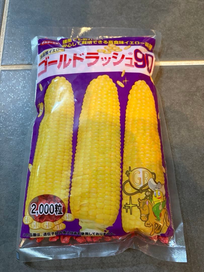 希少】大人気！ブロッコリー種子 （SK9-099 )5000粒