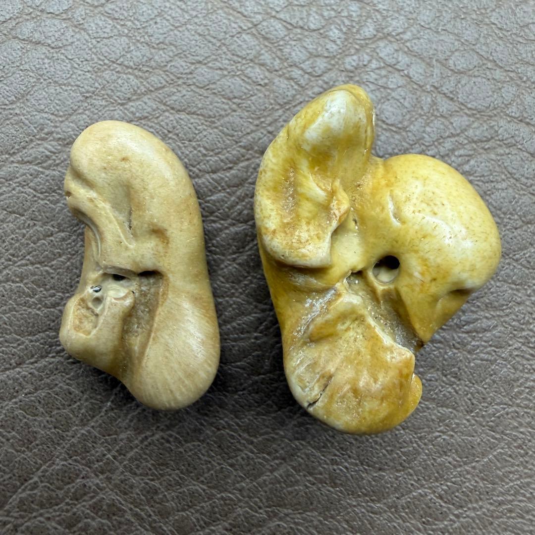 幸運のお守り【イルカの耳骨/布袋石】天然化石 2種類 別売不可 - メルカリ