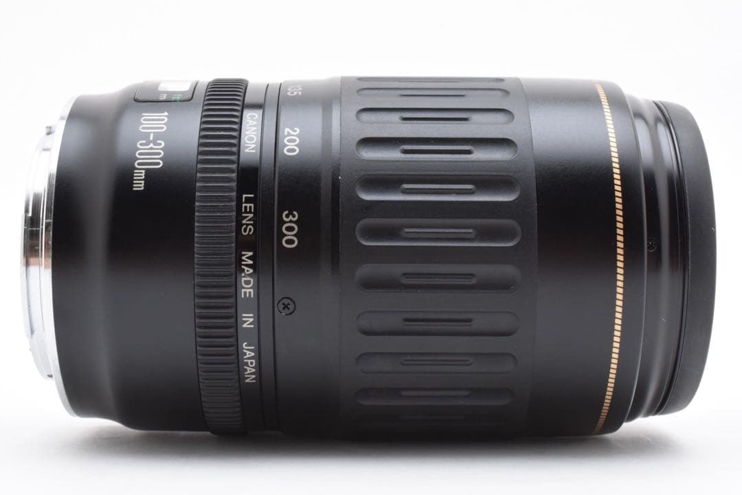一眼レフカメラCANON EF 100-300mm F4.5-5.6 USM