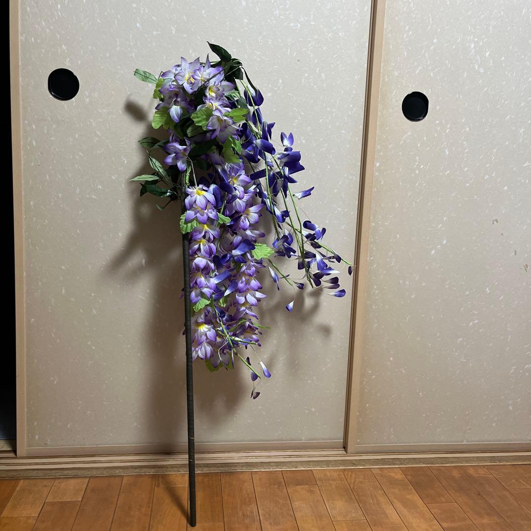 解剖模型 寄生虫標本 木製フレームの通販｜www.a26barbershop.com