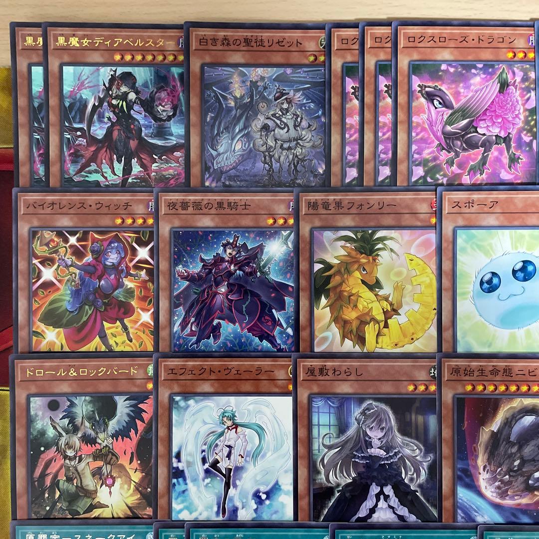 大会優勝構築 アザミナローズドラゴンデッキ レッドローズドラゴン 黒