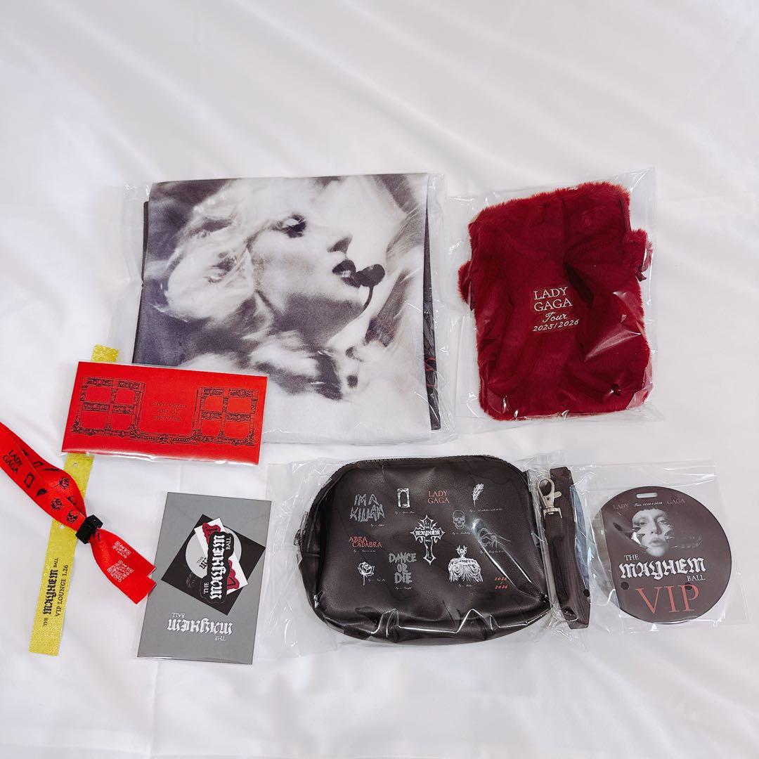 新品 LADY GAGA VIP GOLD グッズ セット - メルカリ