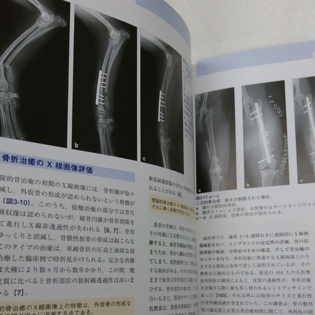 AO法による犬と猫の骨折治療 インターズー 獣医 整形外科 - メルカリ