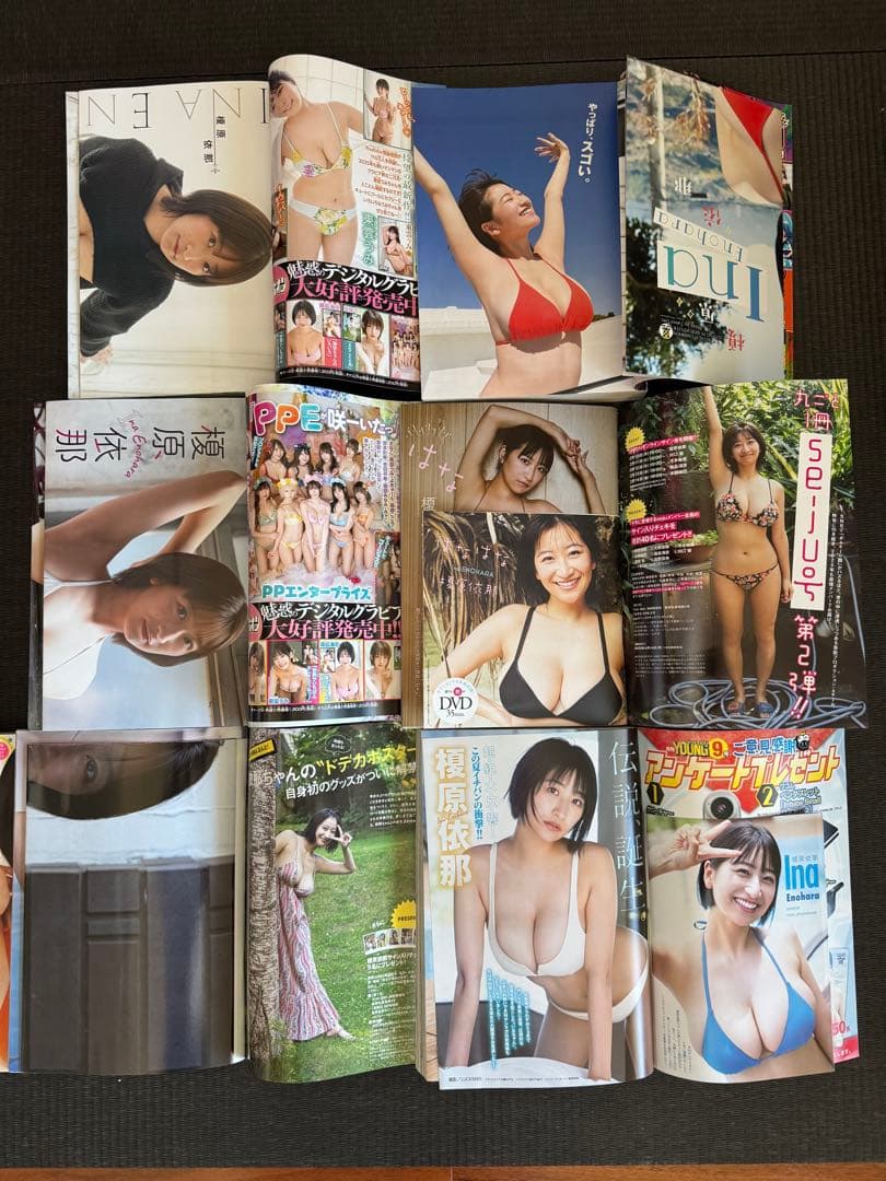榎原依那 雑誌14冊セット（マガジン アクション チャンピオン プレイボーイ等）