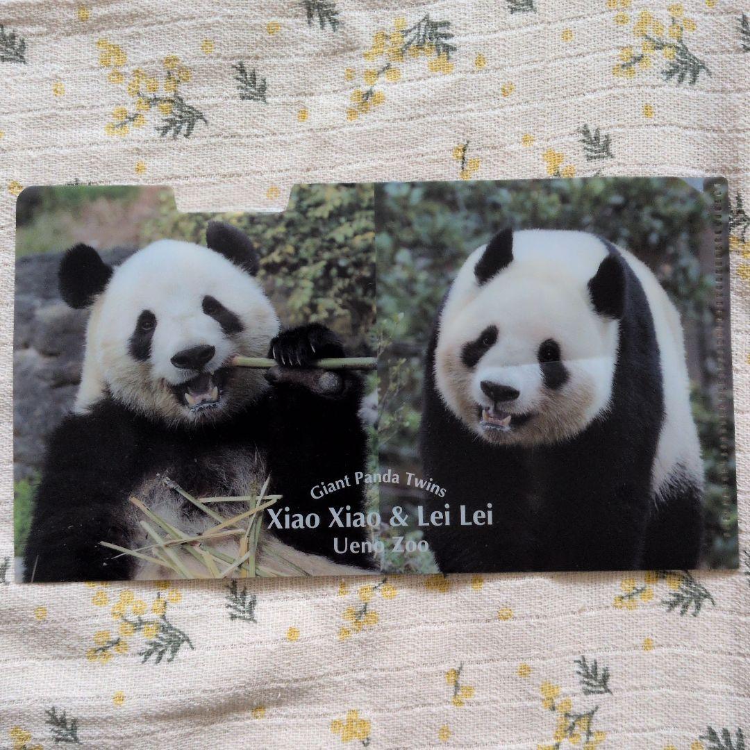 上野動物園 シャオシャオ レイレイ 非売品 クリアファイル パンダ