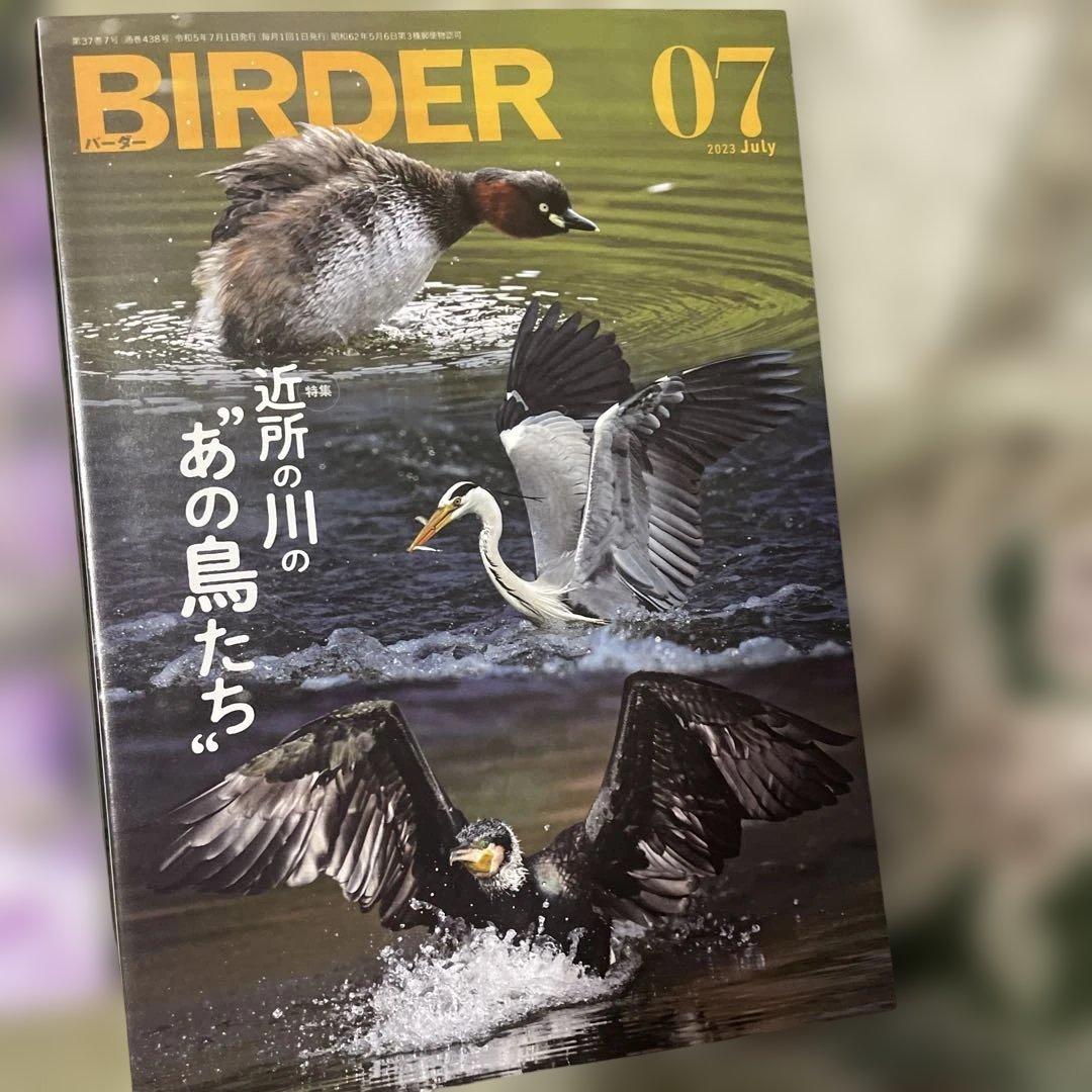 BIRDER 2024年06・2023年07号セット バードウオッチングマガジン
