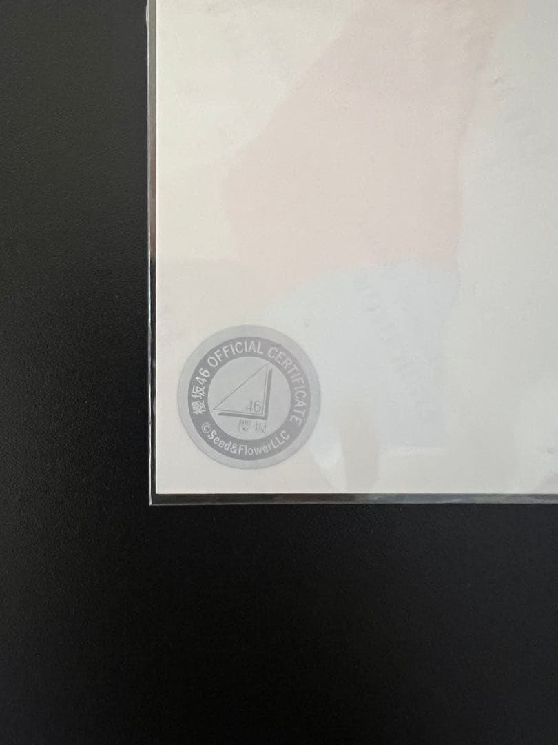 櫻坂46 向井純葉 2024クリスマスサンタ衣装 直筆サイン ヨリ