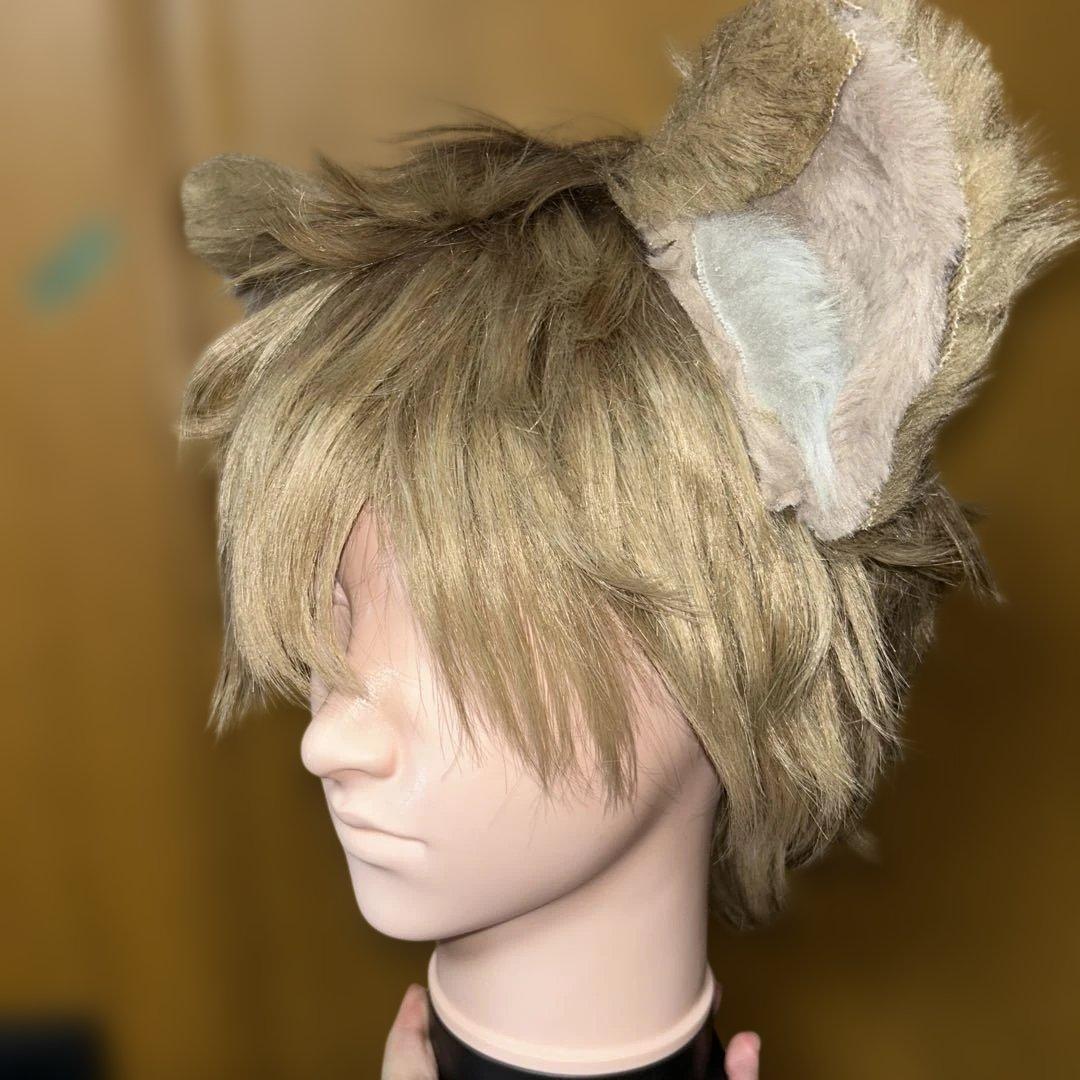 ラギー ウィッグ 耳 尻尾 - メルカリ