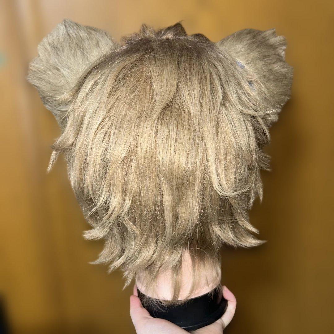 ラギー ウィッグ 耳 尻尾 - メルカリ