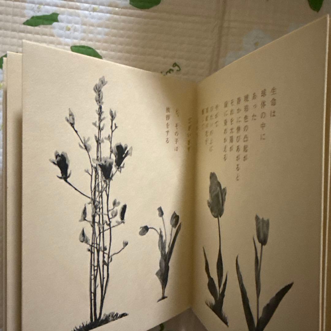 武井武雄 刊本作品 NO 38 SPHERE （スフェール）サイン有 - メルカリ