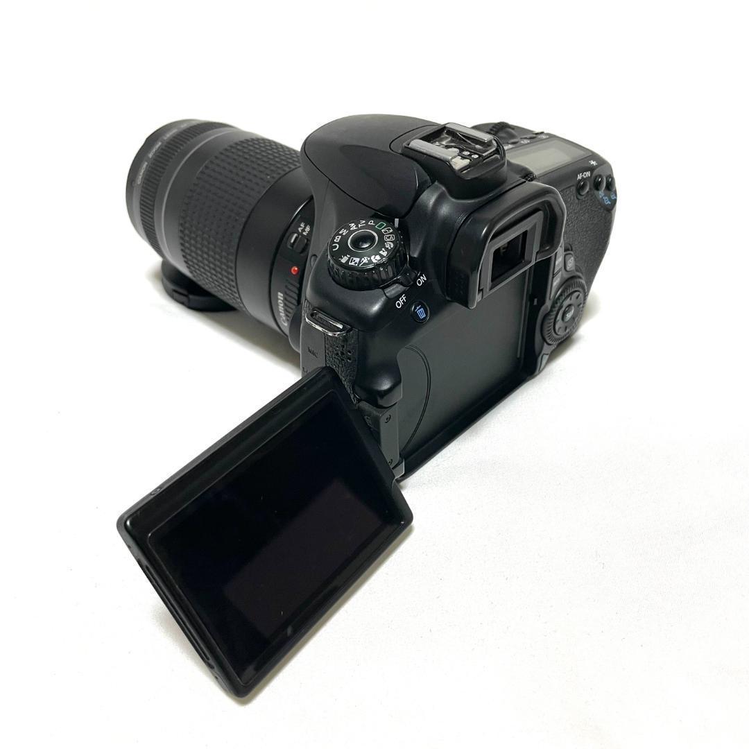 表現力を高めたい人へ❣️ Canon EOS 60D 超望遠ダブルレンズセット