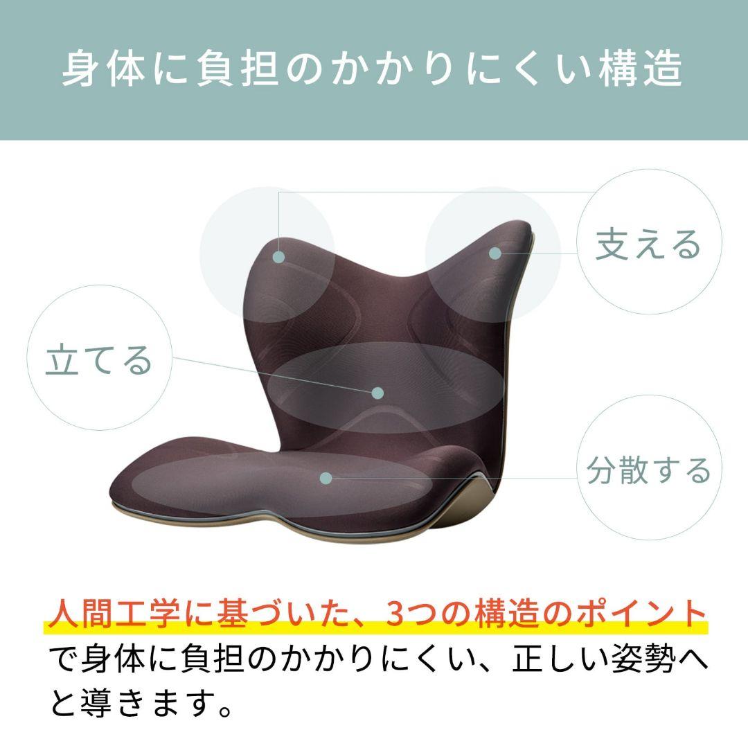 StyIe PREMIUM/スタイルプレミアム/ブラウン/骨盤矯正 - メルカリ