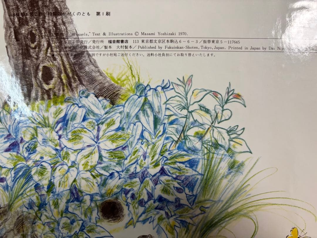 未使用・希少本 「 いたち 」 かがくのとも 特製版 吉崎正巳 1984年