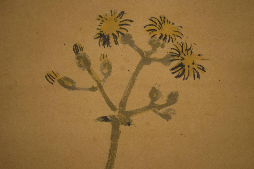 真作/今井景樹/蕗/小禽図/フキ/布袋屋掛軸HI-903 - メルカリ