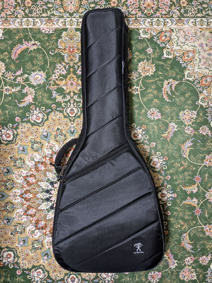 アヌエヌエ aNN-M12 アコースティックギター 純正ストラップ・ケース付き