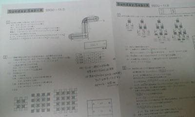 サピックス SS特訓＊6年＊算数／桜蔭 対策プリント＊全49回完全版