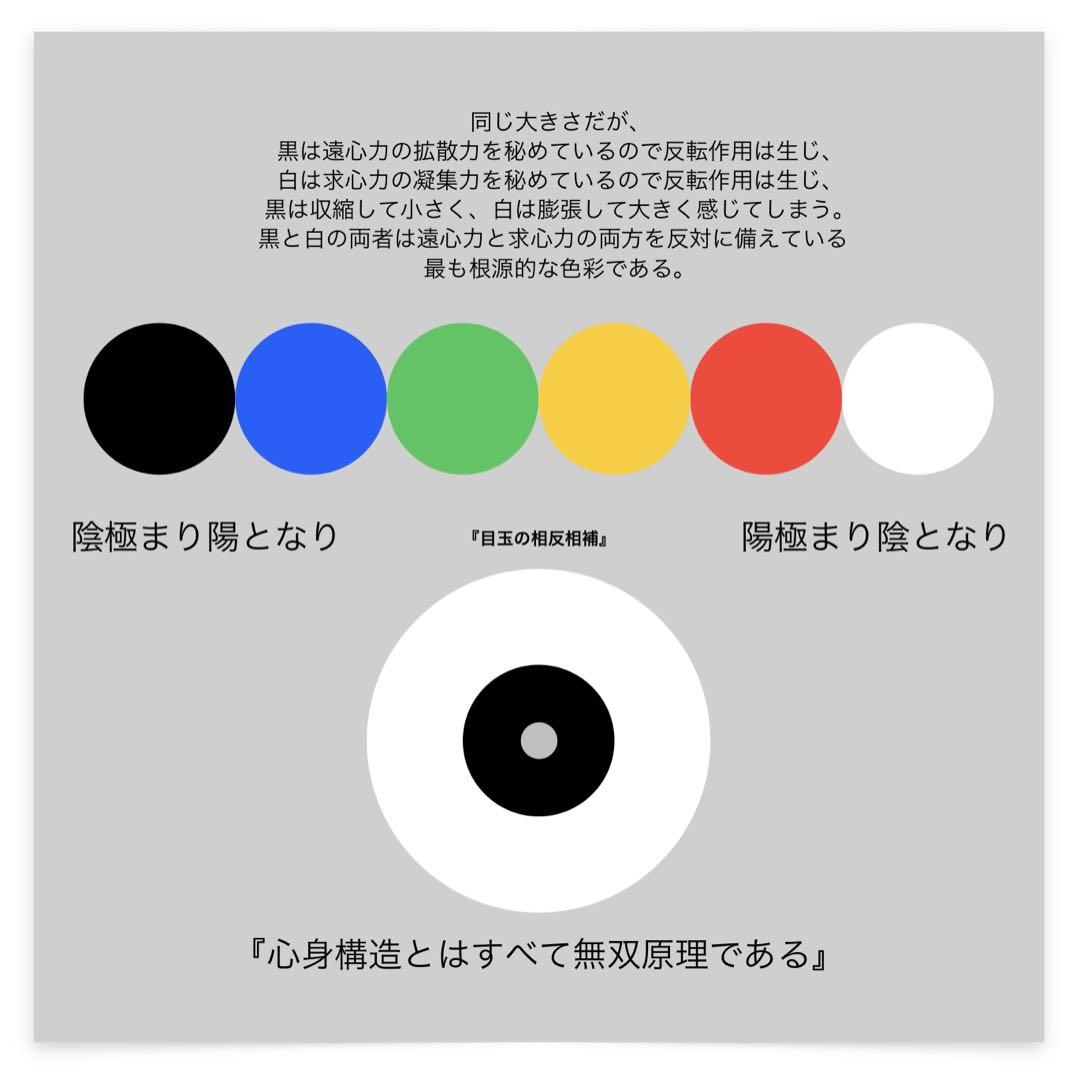 『神の正命・無双原理人体望診術』