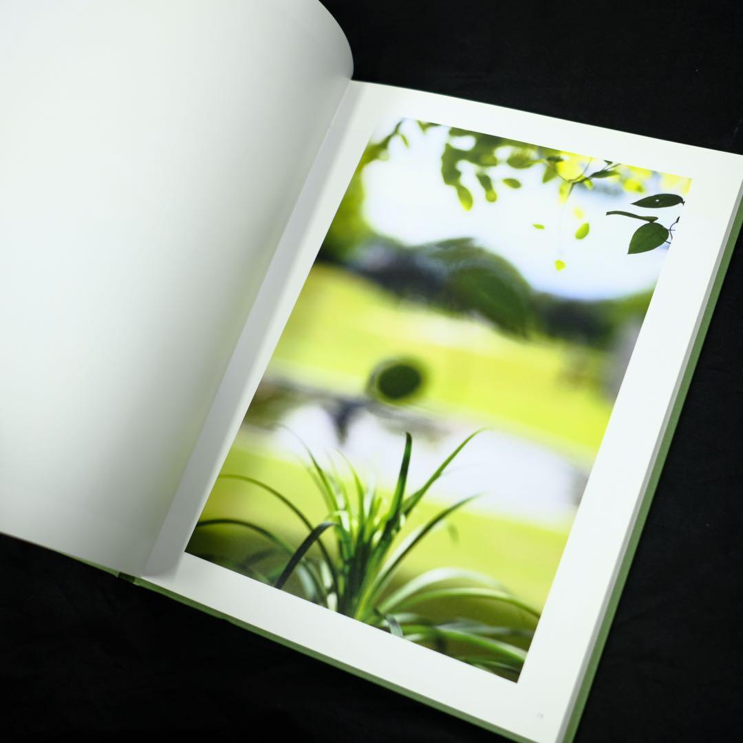 terri weifenbach the may sun 写真集　初版