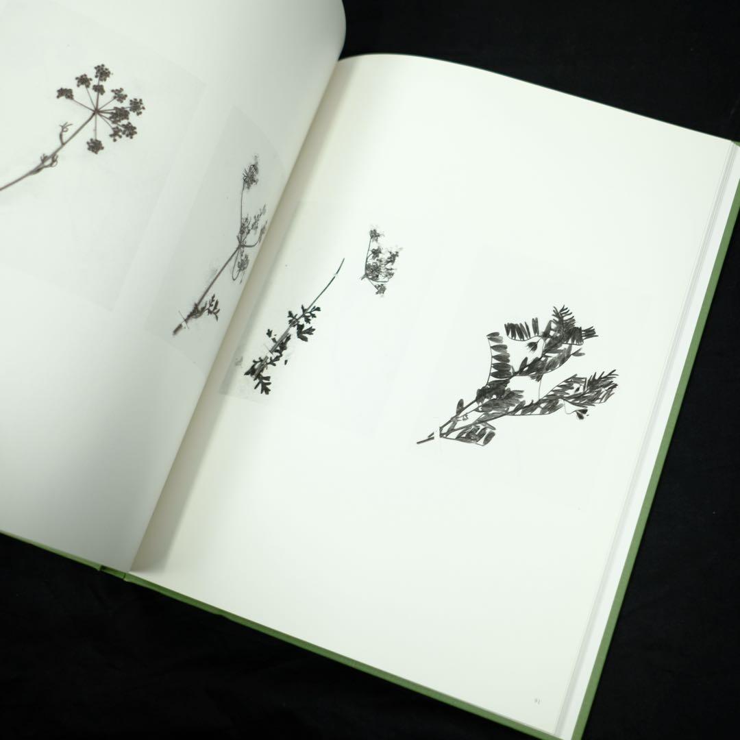 terri weifenbach the may sun 写真集　初版