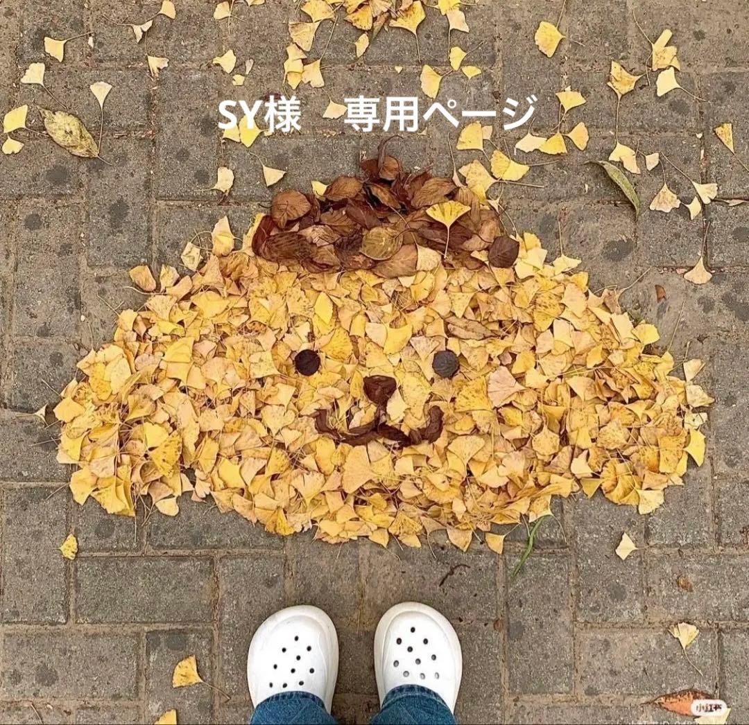 専用アカウント sy 様 楽天モバイルの三木谷キャンペーンでエラーが出たら？6つの対処法