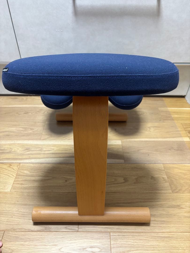 OmaOma様専用】バランスイージー カバー付き ネイビー