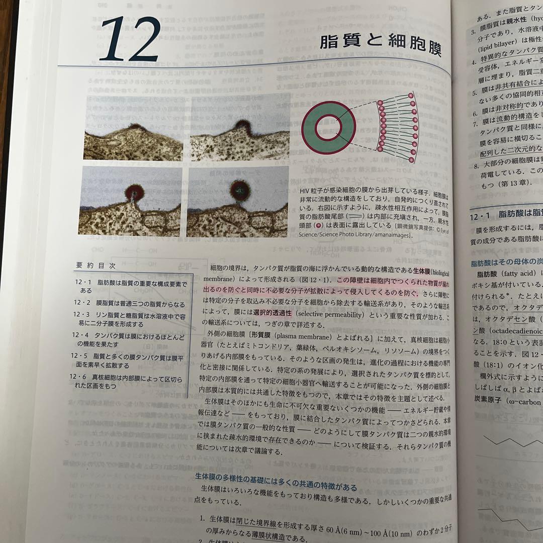 ストライヤー生化学 第8版 - メルカリ