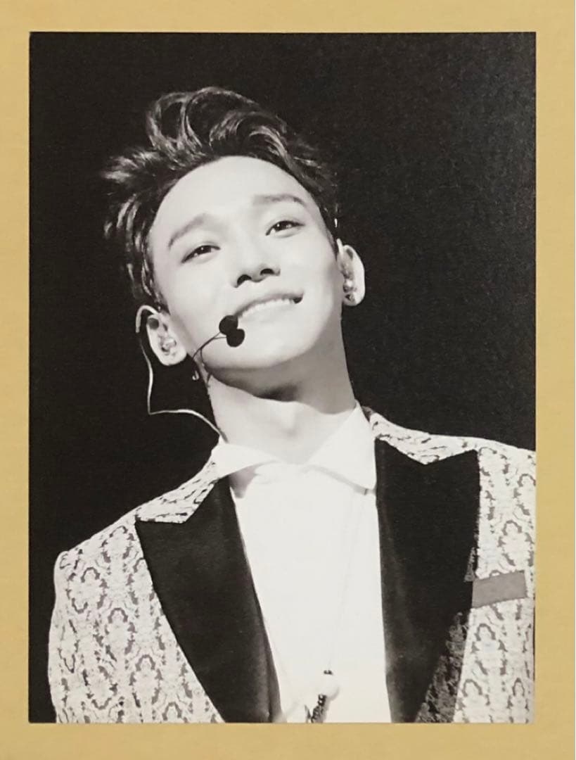 EXO チェン ジョンデ トレカ 55枚