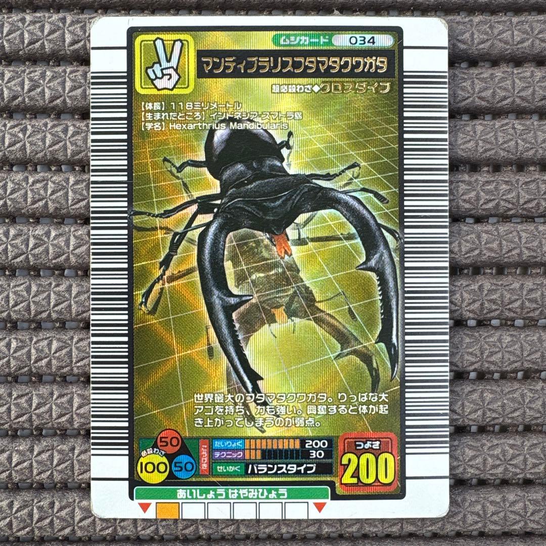 希少 マンディブラリスフタマタクワガタ 2004ファースト拡張 金