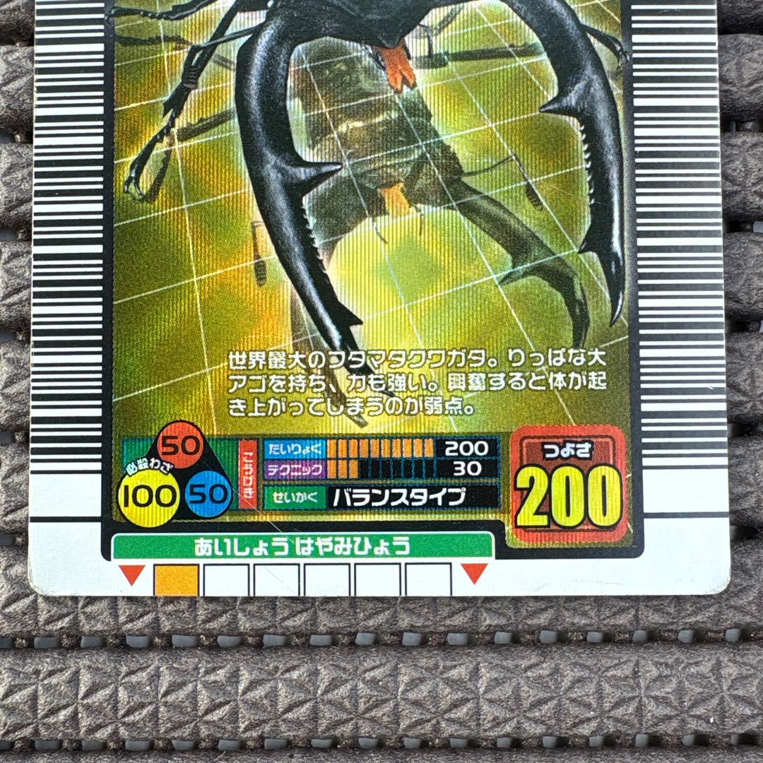 希少 マンディブラリスフタマタクワガタ 2004ファースト拡張 金