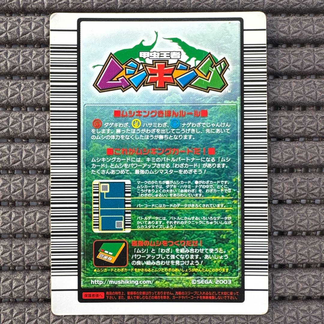 希少 マンディブラリスフタマタクワガタ 2004ファースト拡張 金