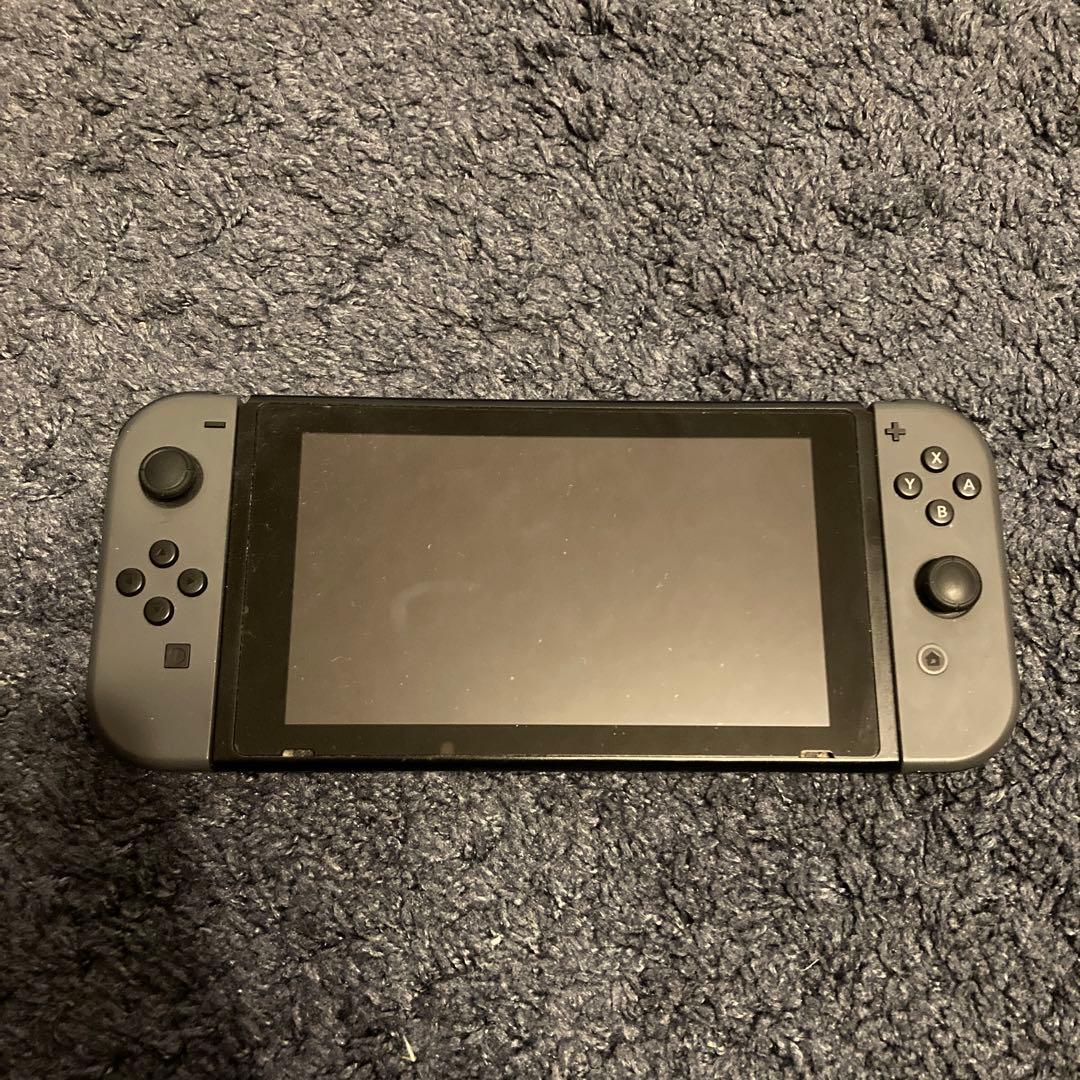 Nintendo Switch NINTENDO SWITCH LITE グレー Nintendo Switch