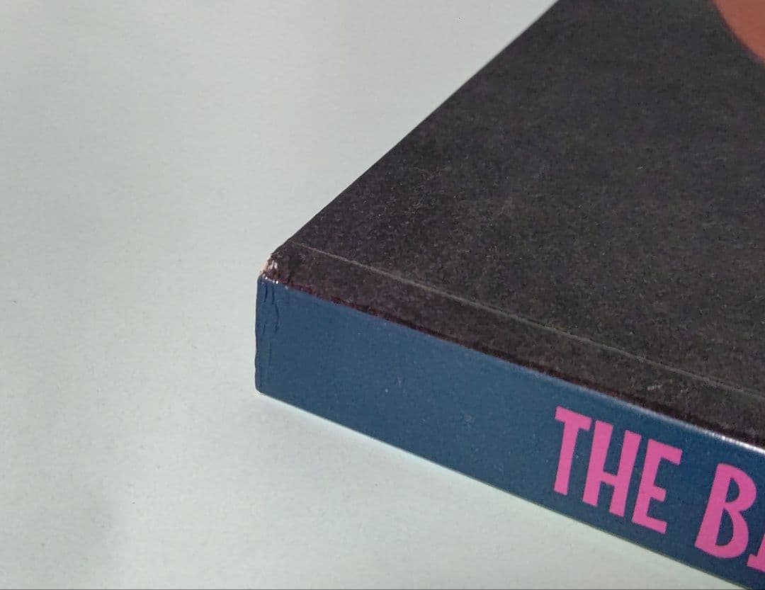 ブルース・ティム画集 The Big Tease