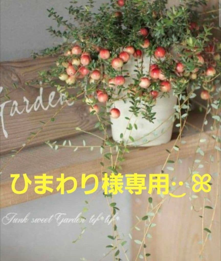 ひまわりさま専用ページです HIMAWARI ひまわり オイルイン シャンプー コンディショナー スムース