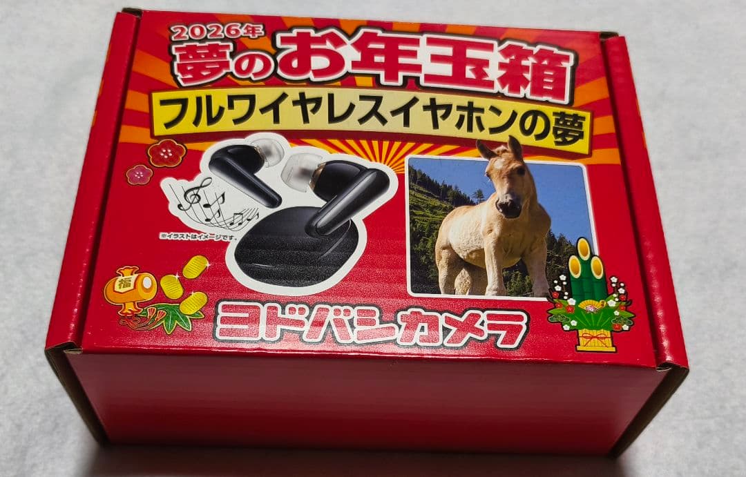 ヨドバシ 2026年夢のお年玉箱 フルワイヤレスイヤホンの夢 - メルカリ